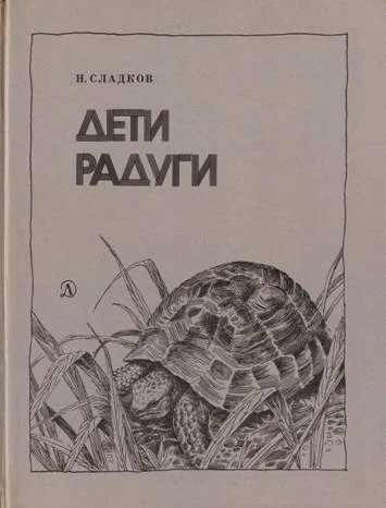 Обложка Дети радуги