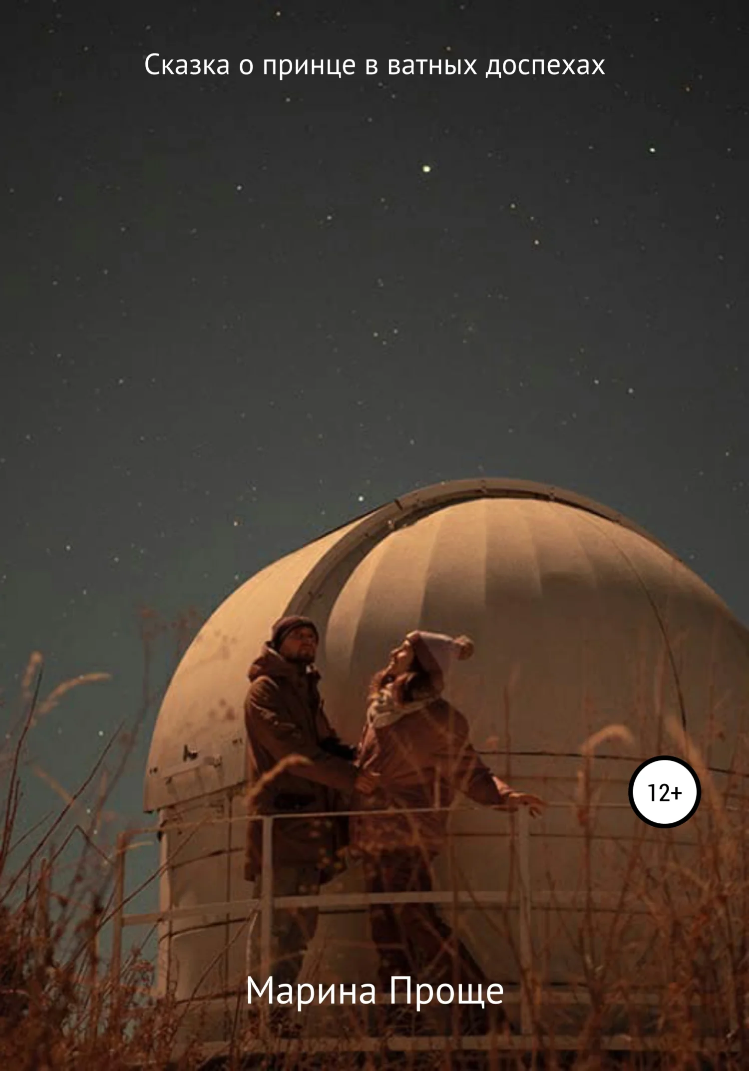 Обложка Сказка о принце в ватных доспехах