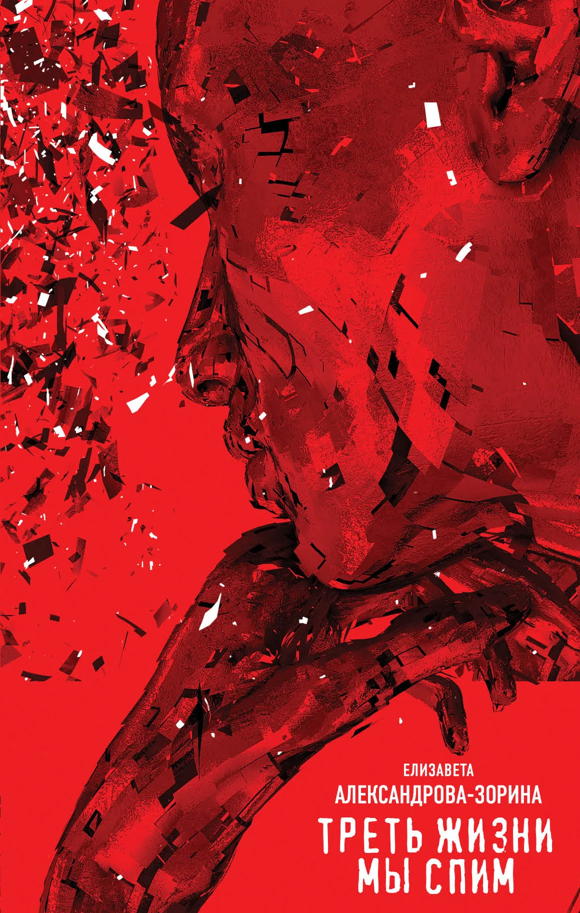 Обложка Треть жизни мы спим