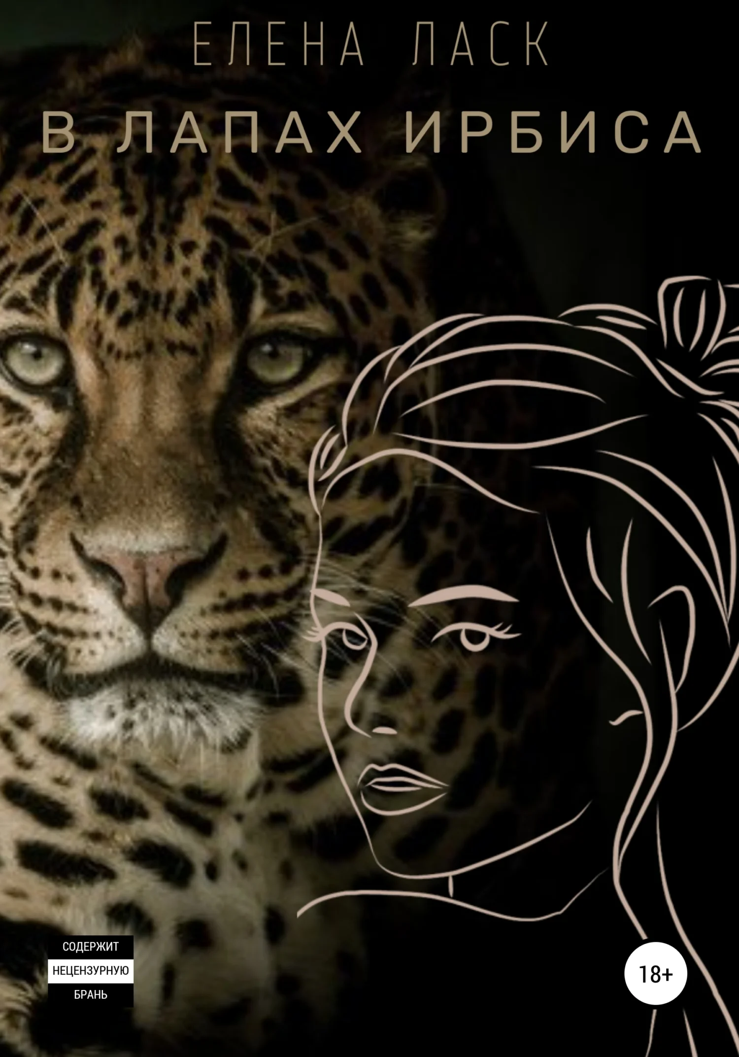 Обложка В лапах Ирбиса