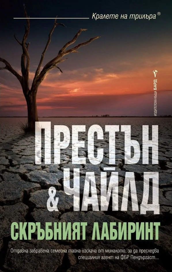 Обложка Скръбният лабиринт