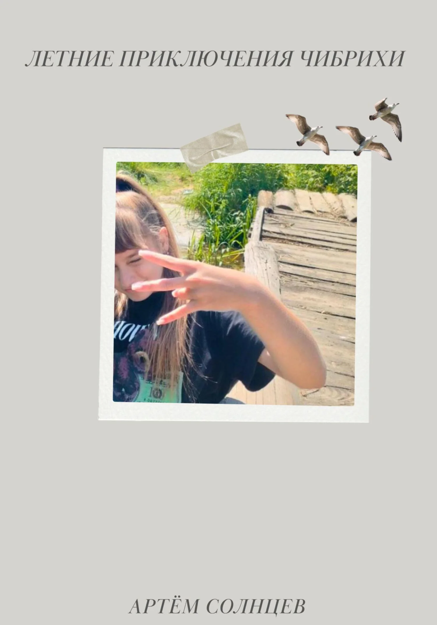 Обложка Летние приключения Чибрихи