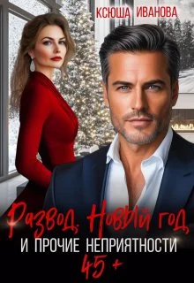 Обложка Развод, Новый год и прочие неприятности