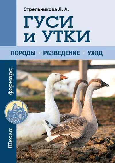 Обложка Гуси и утки