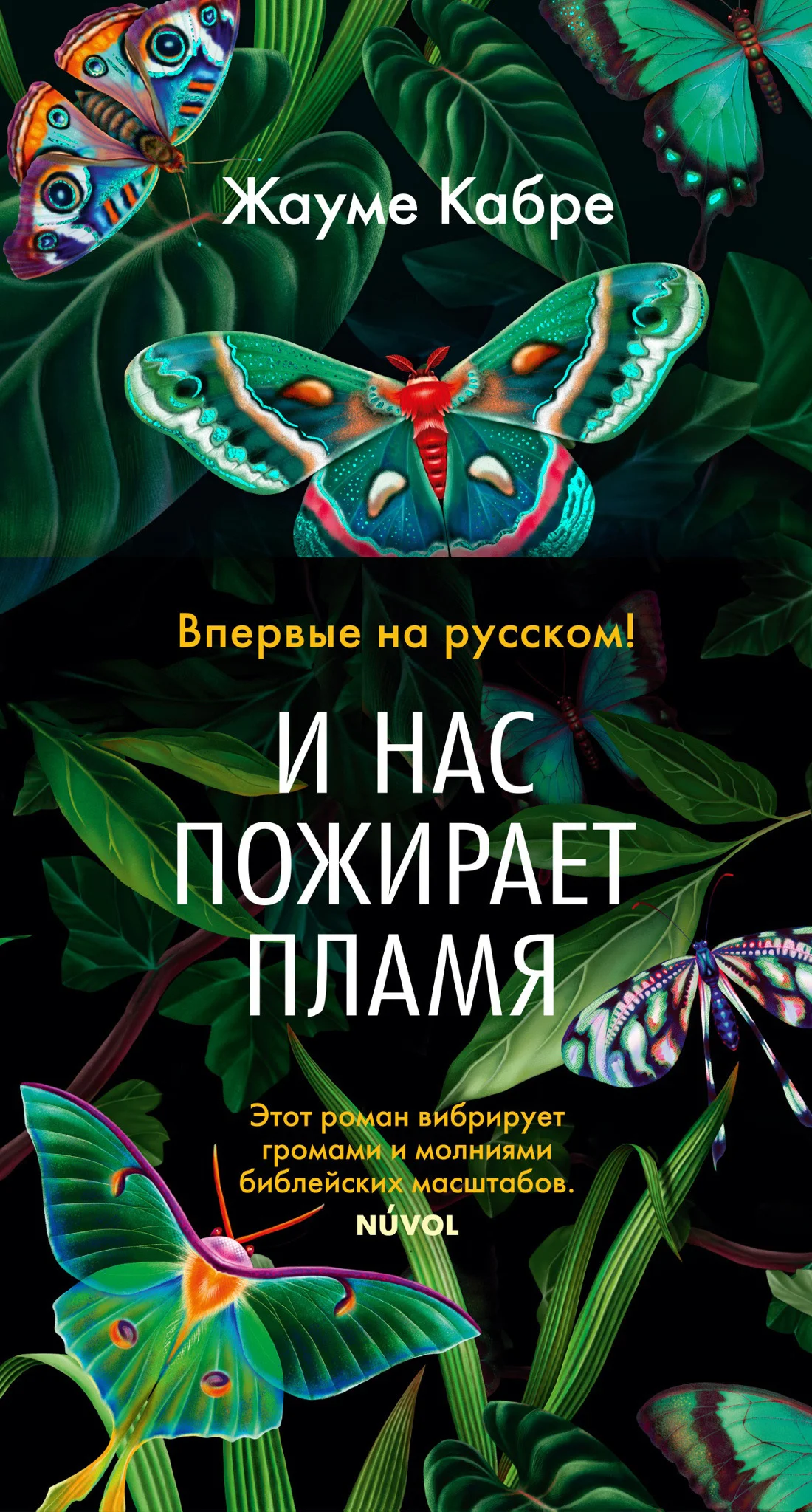 Обложка И нас пожирает пламя