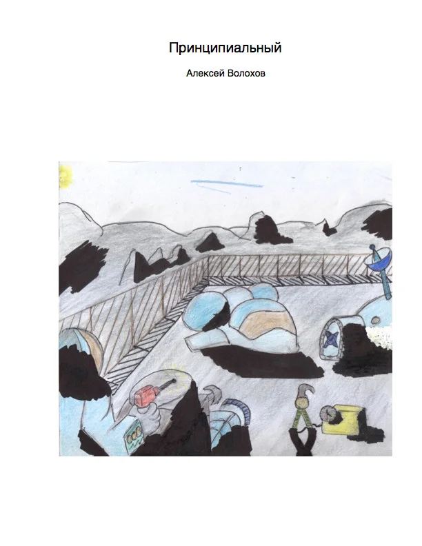 Обложка Принципиальный