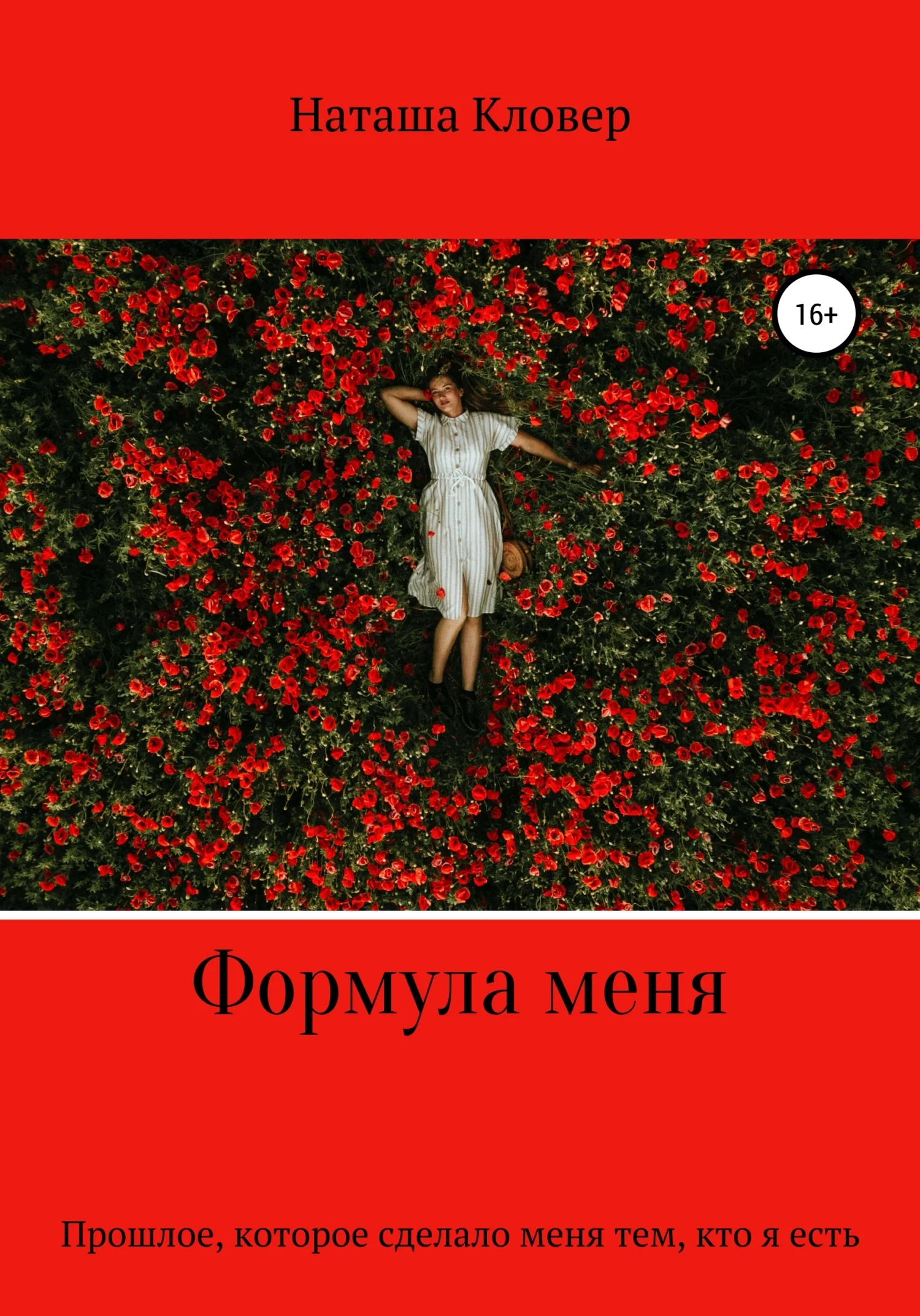 Обложка Формула меня