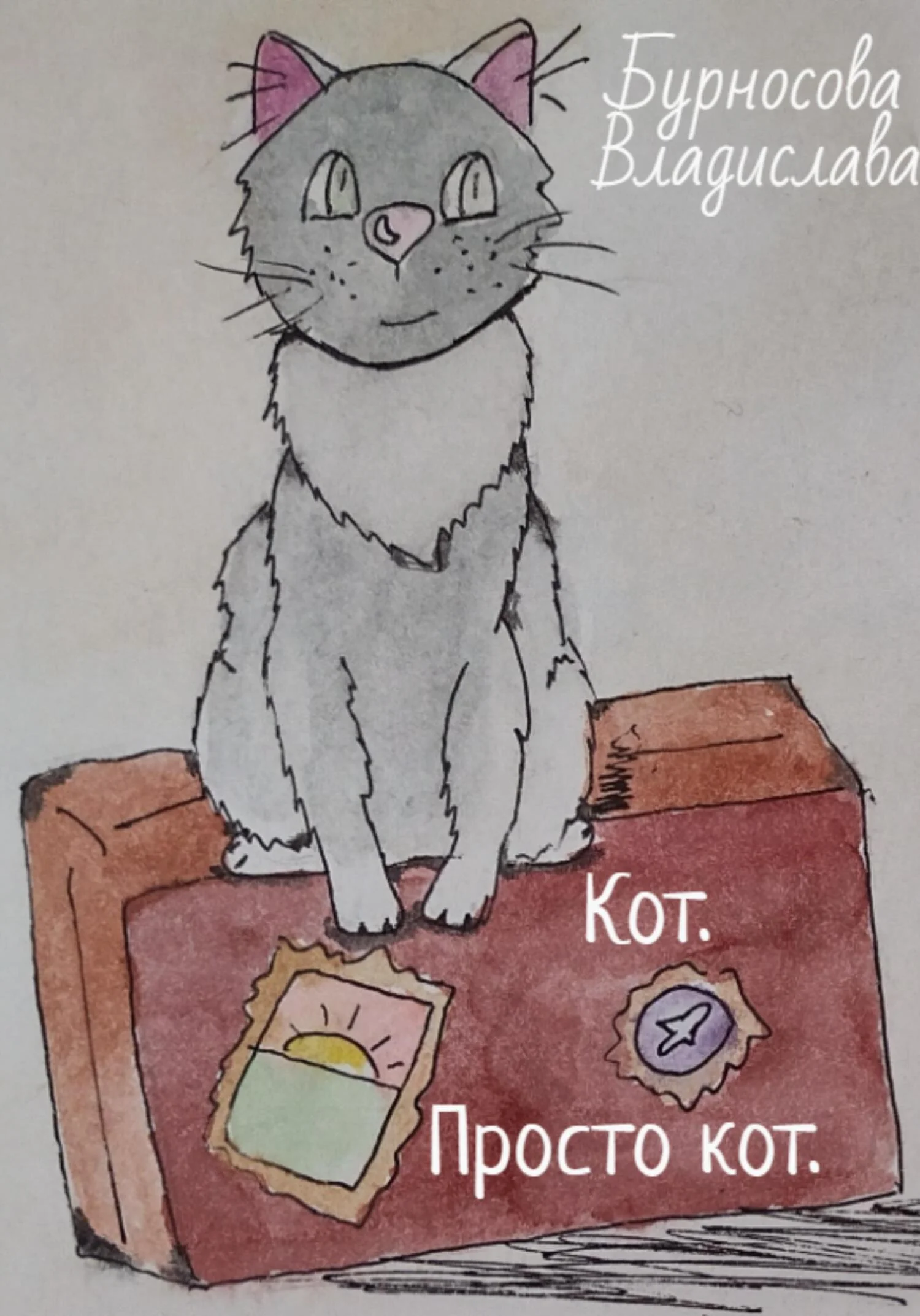 Обложка Кот. Просто кот