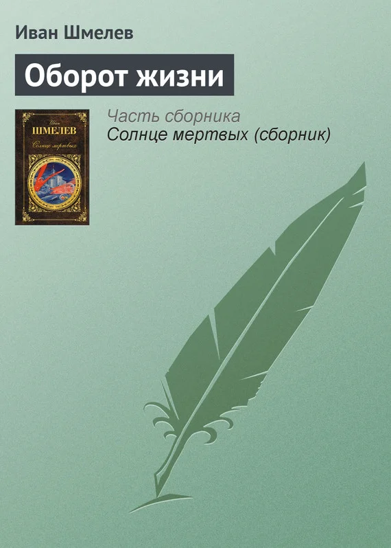 Обложка Оборот жизни