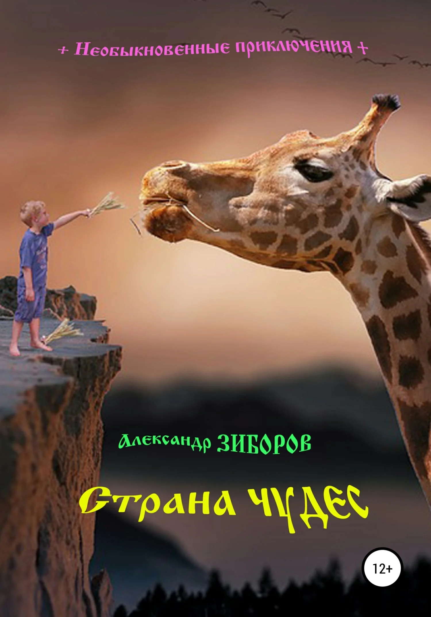 Обложка Страна чудес