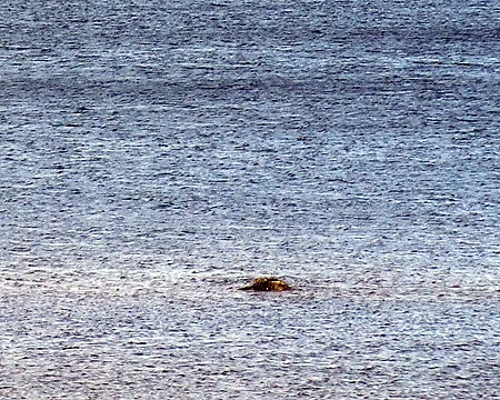 Обложка Мифы, легенды и неразгаданные тайны