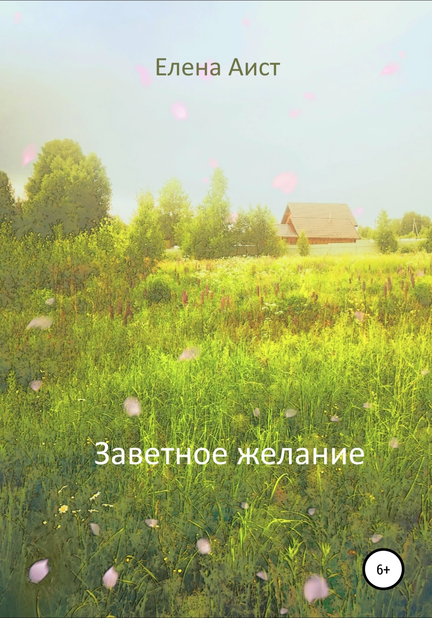 Обложка Заветное желание