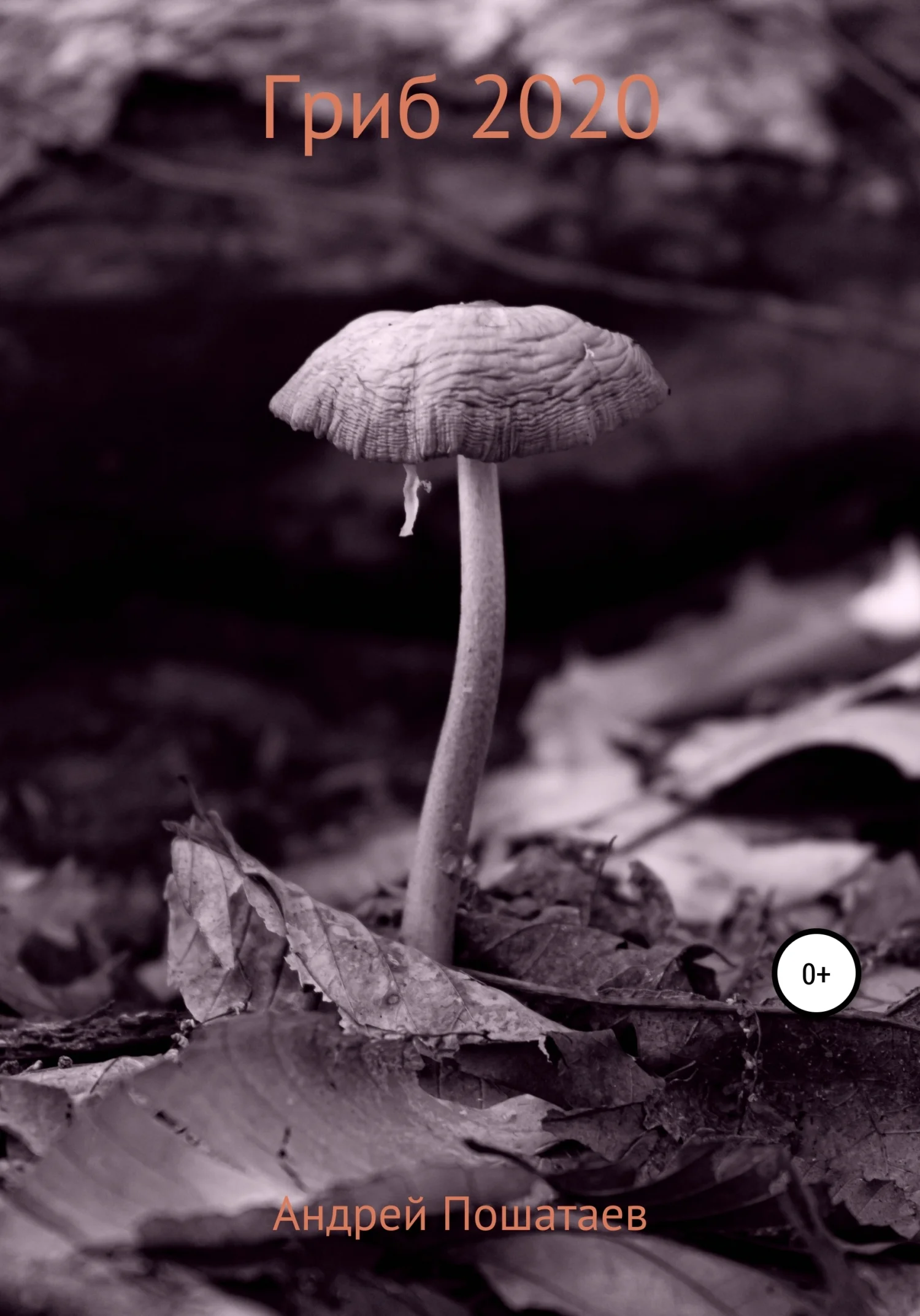 Обложка Гриб 2020