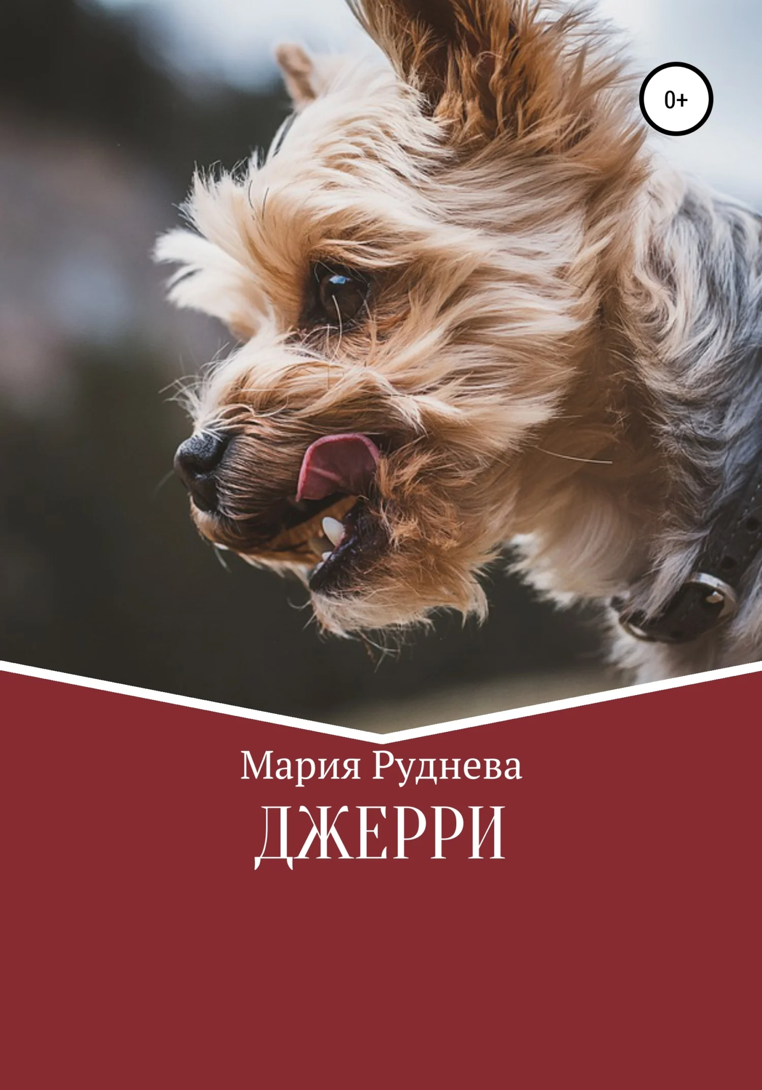 Обложка Джерри
