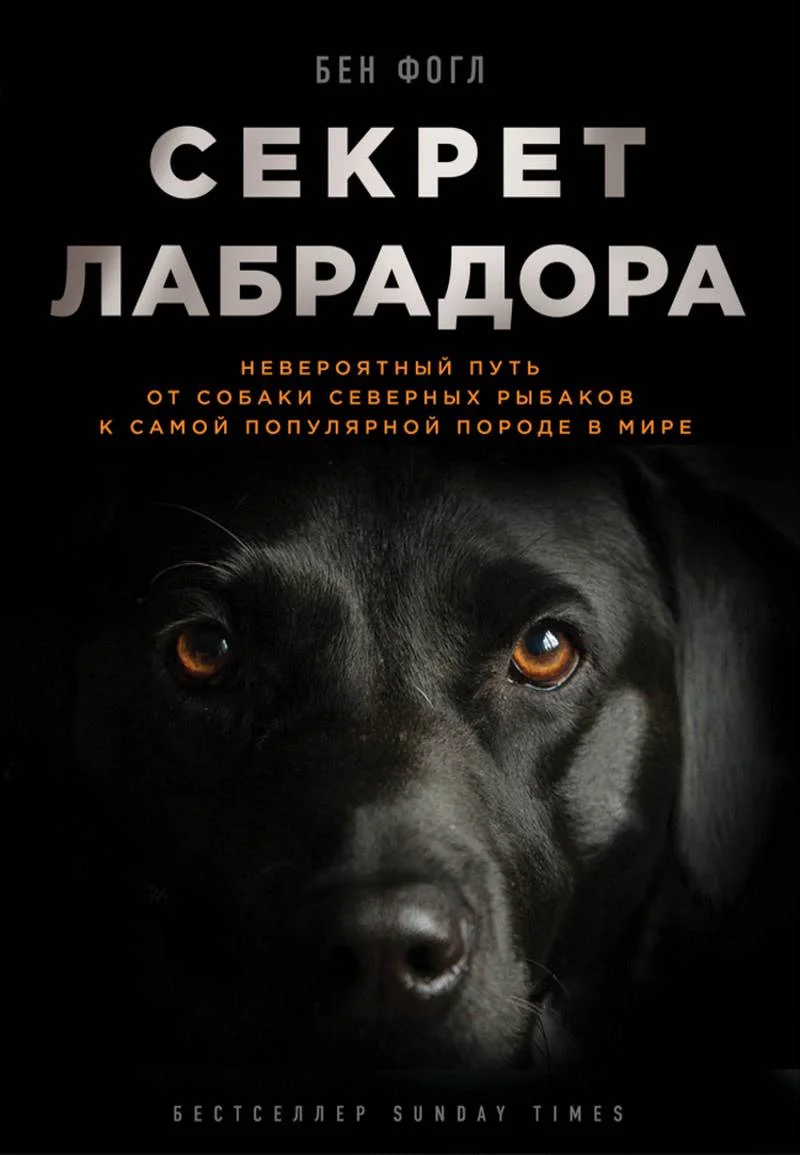 Обложка Секрет лабрадора. Невероятный путь от собаки северных рыбаков к самой популярной породе в мире