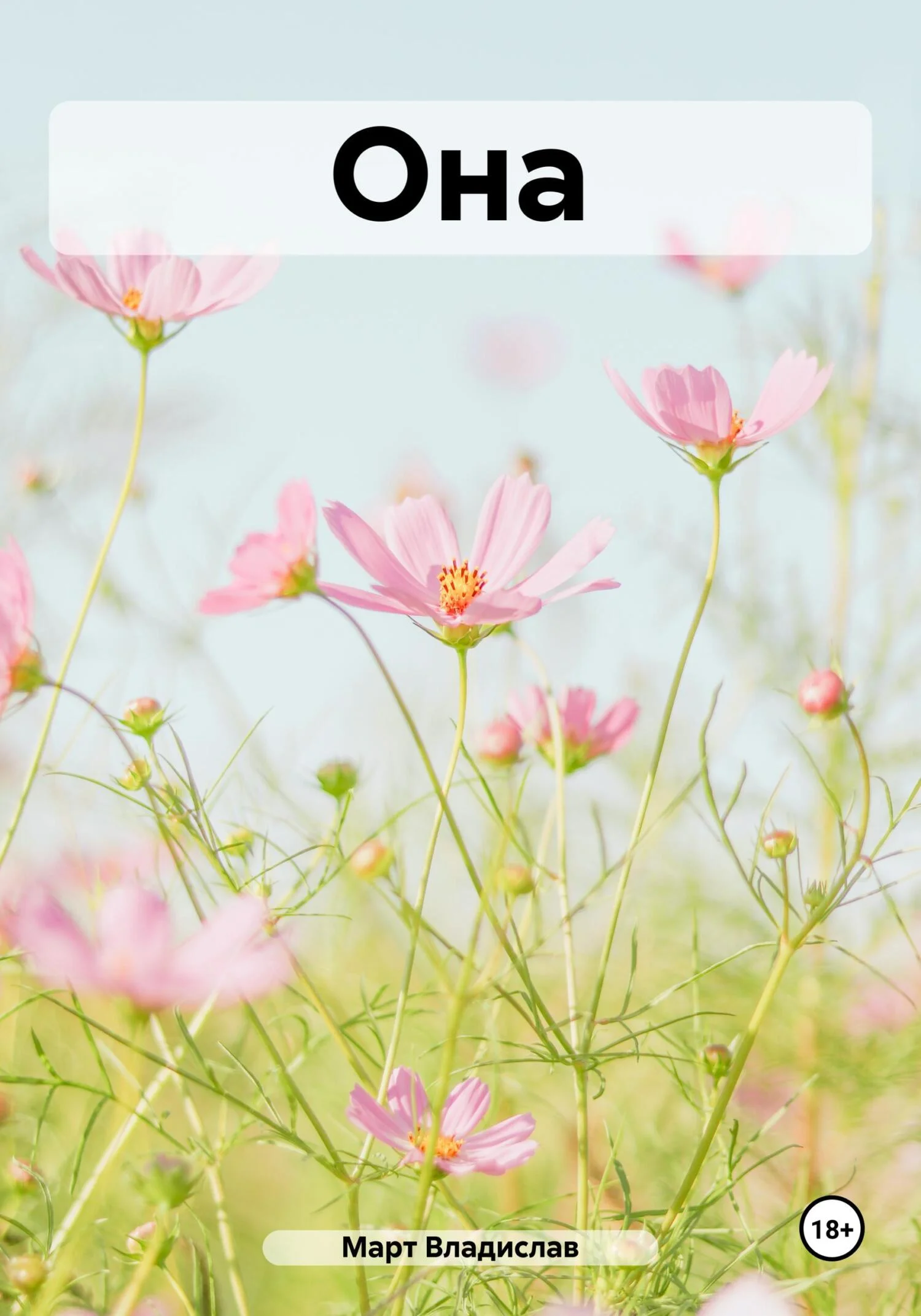 Обложка Она