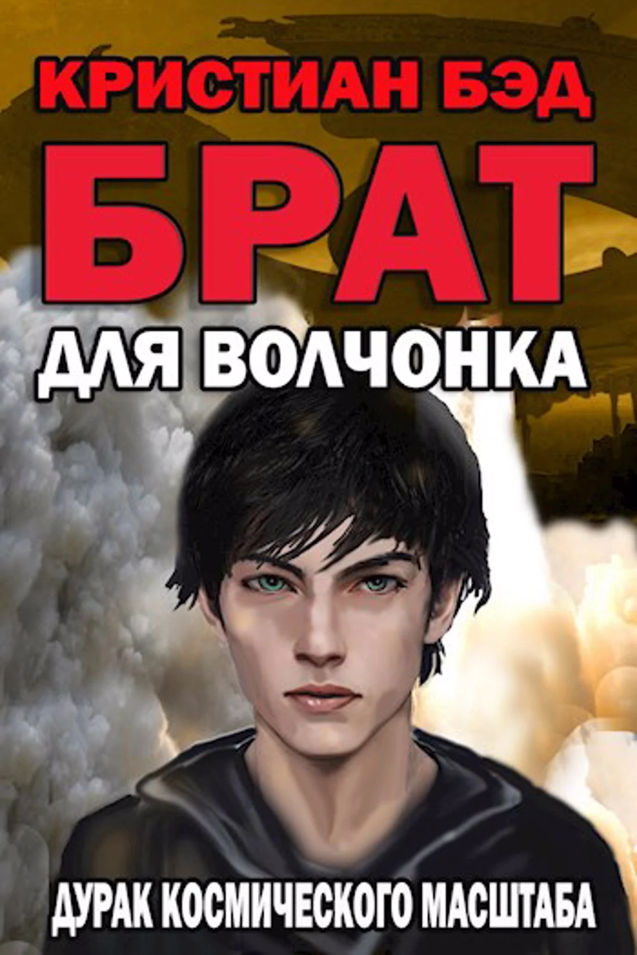 Обложка Брат для волчонка