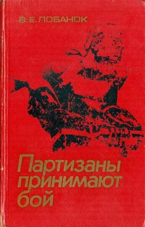 Обложка Партизаны принимают бой