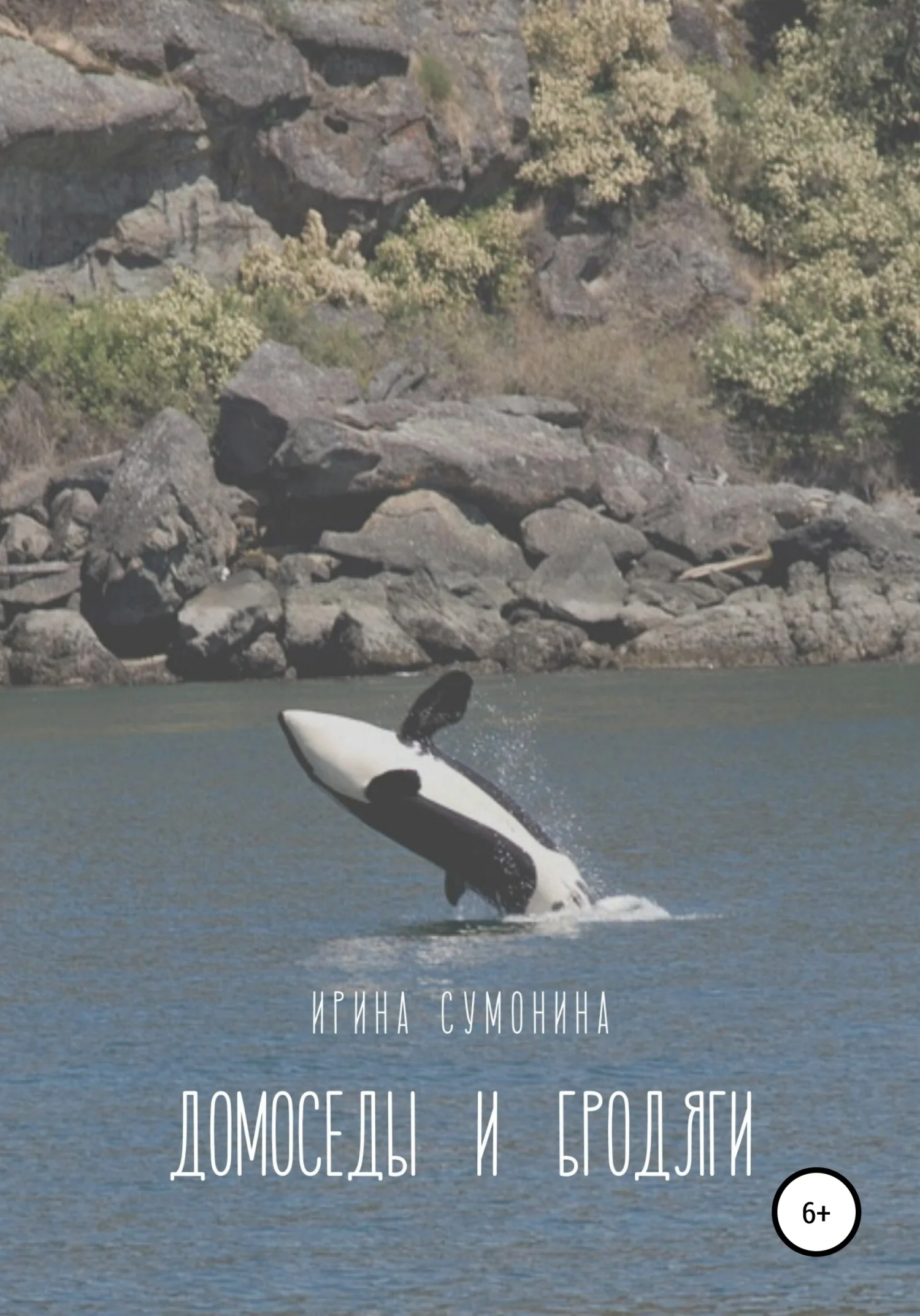 Обложка Домоседы и бродяги