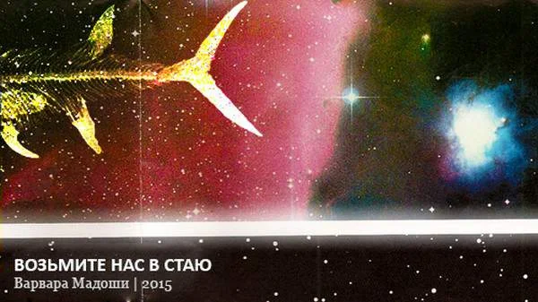 Обложка Возьмите нас в стаю