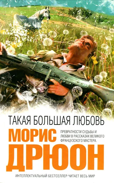 Обложка Такая большая любовь