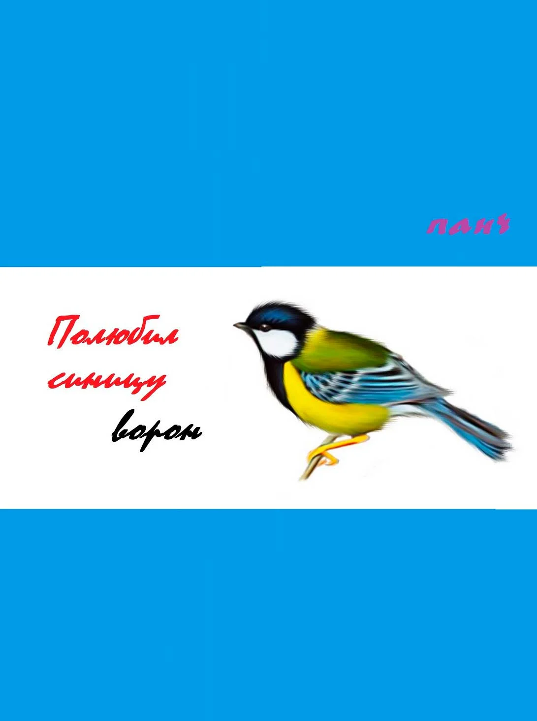 Обложка Полюбил синицу ворон…