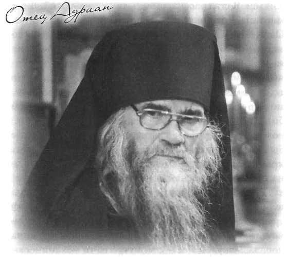 Обложка "Ведро незабудок" и другие рассказы