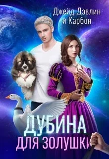 Обложка Дубина для Золушки