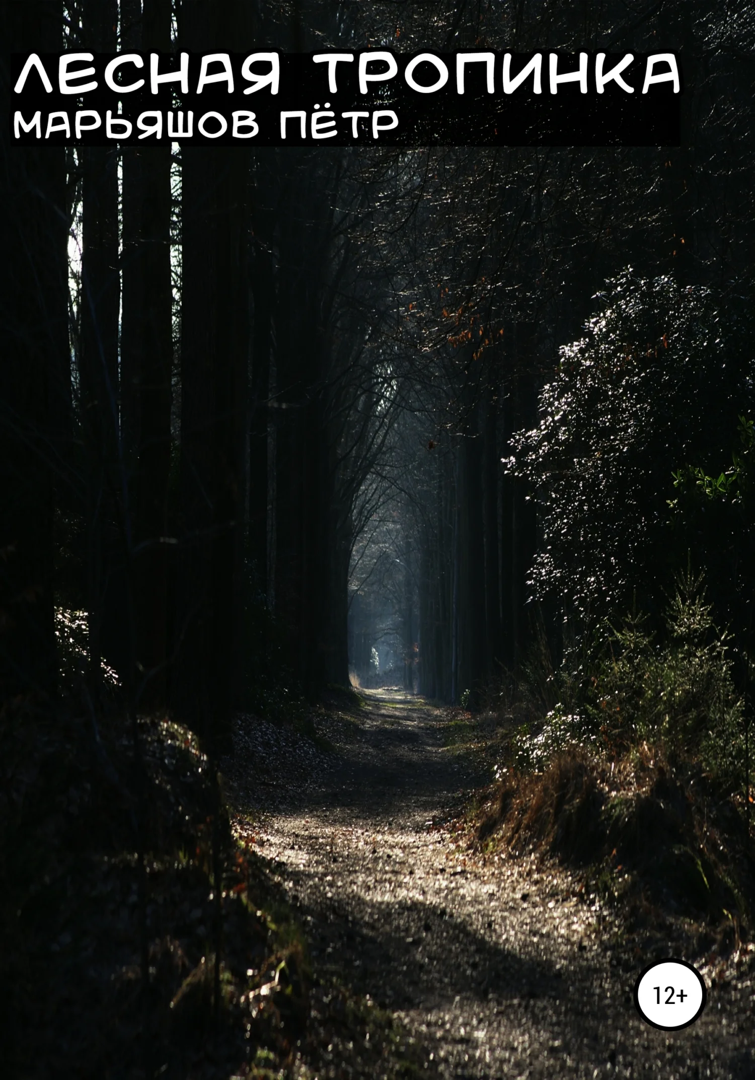 Обложка Лесная Тропинка