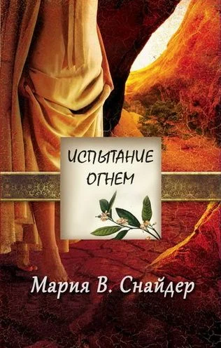 Обложка Испытание огнем