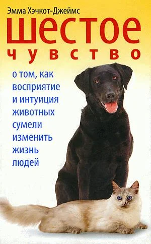 Обложка Шестое чувство