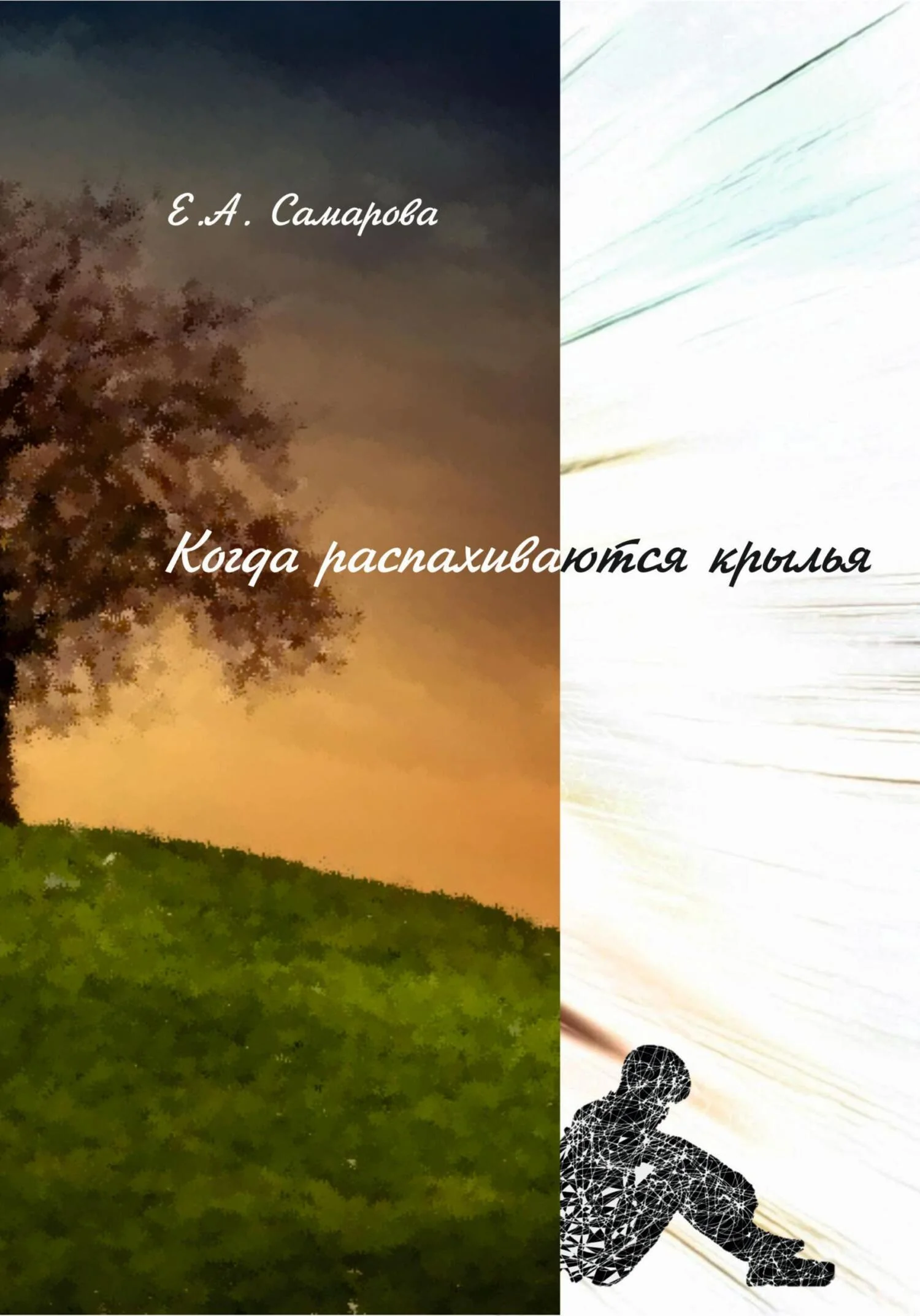 Обложка Когда распахиваются крылья