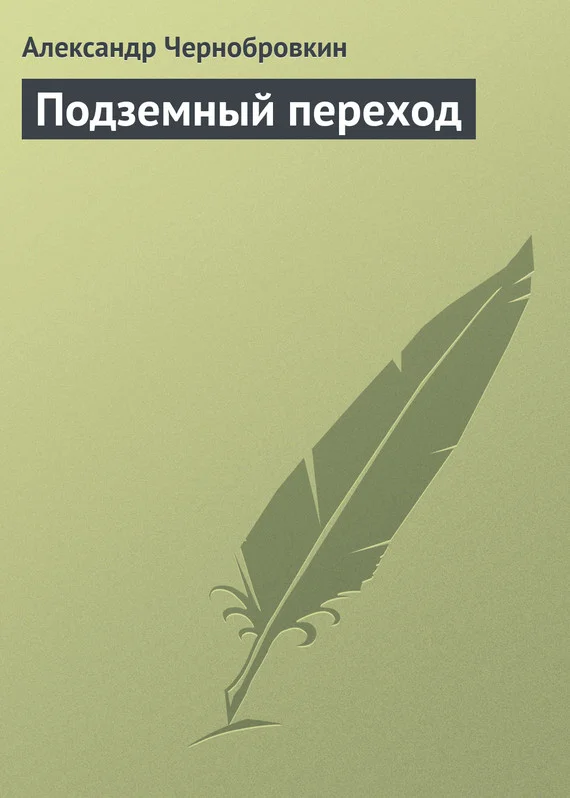 Обложка Подземный переход