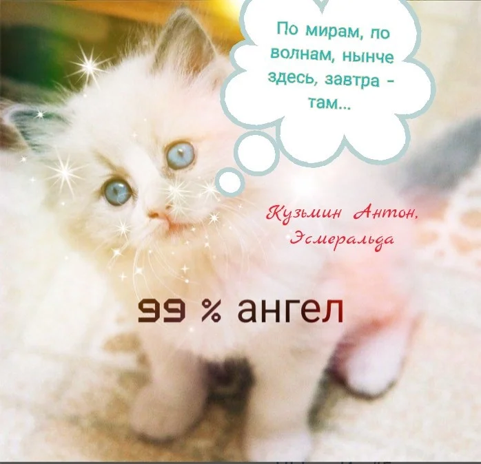 Обложка По мирам, по волнам, нынче здесь, завтра -там...