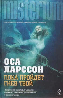 Обложка Пока пройдёт гнев твой