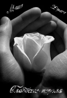 Обложка Слабость короля