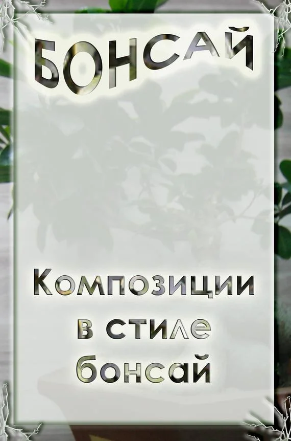 Обложка Композиции в стиле бонсай