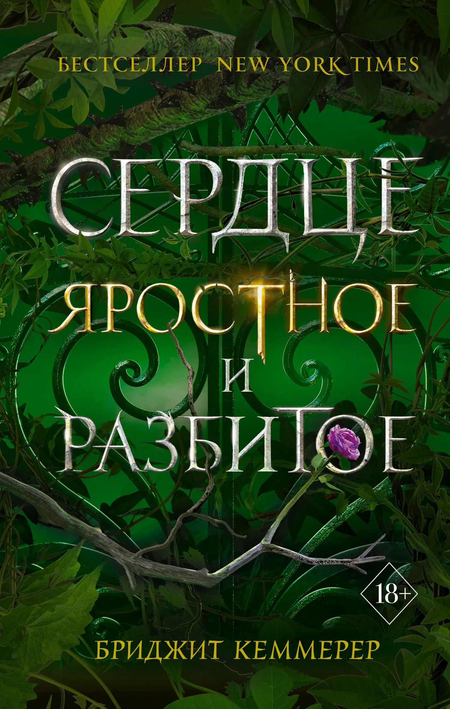 Обложка Сердце яростное и разбитое