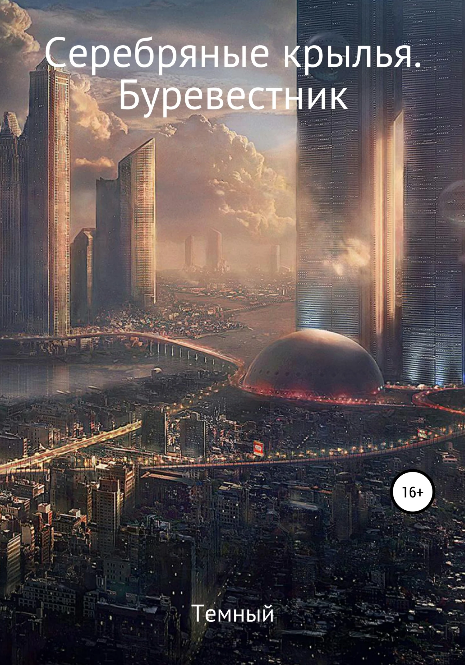 Обложка Серебряные крылья. Буревестник