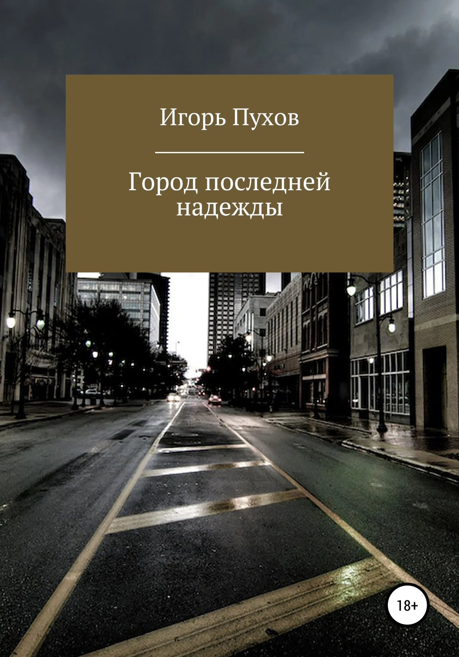 Обложка Город последней надежды