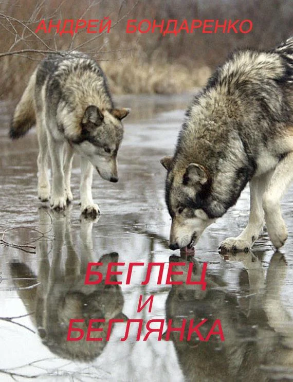 Обложка Беглец и Беглянка