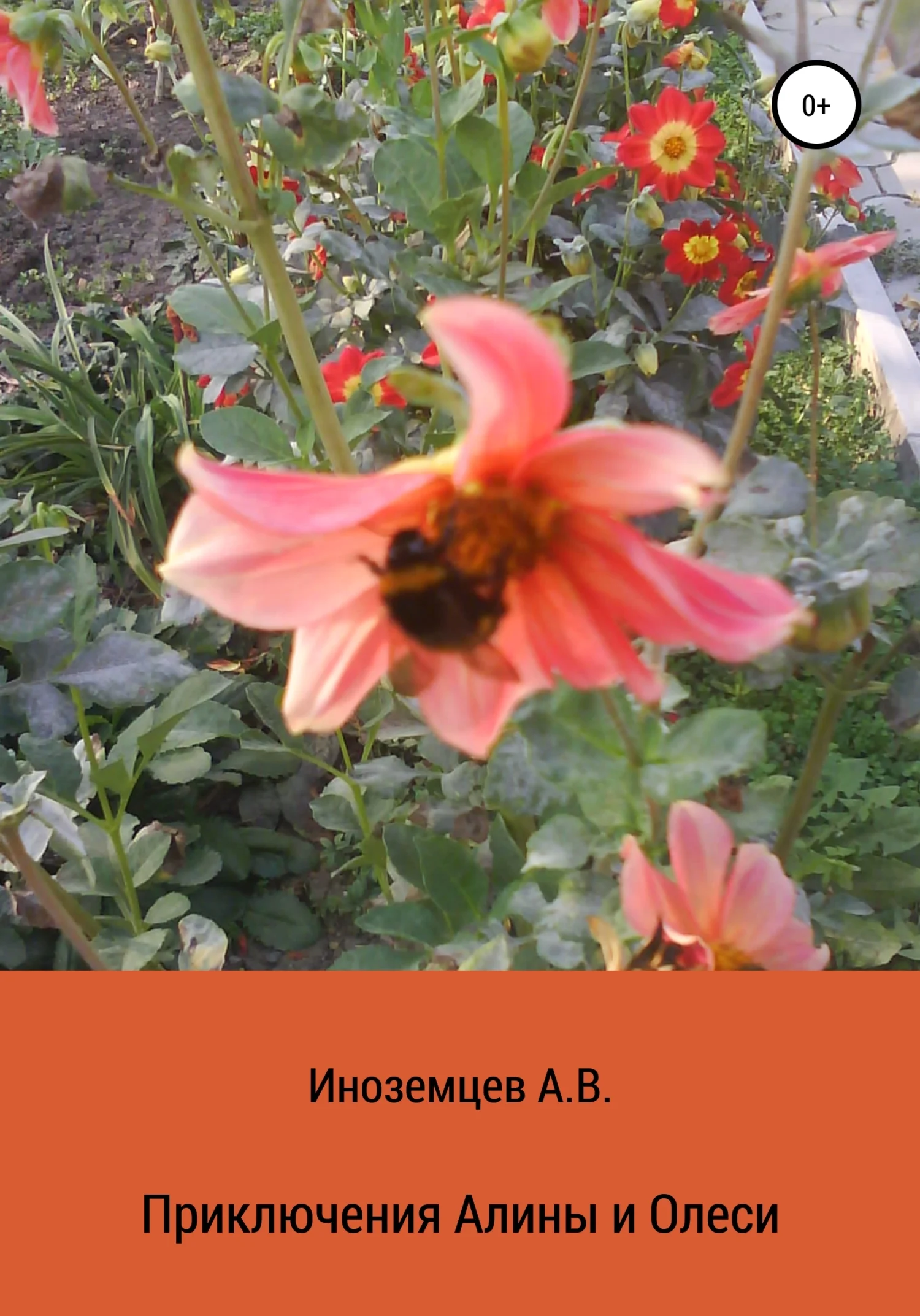 Обложка Приключения Алины и Олеси