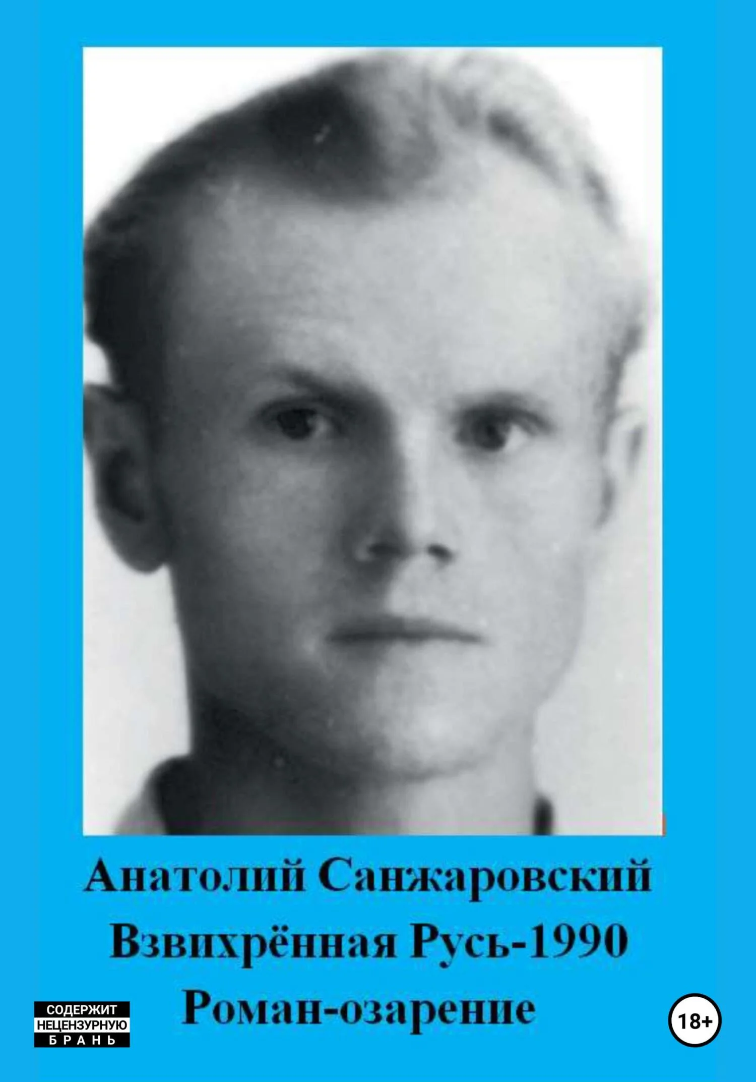 Обложка Взвихрённая Русь – 1990