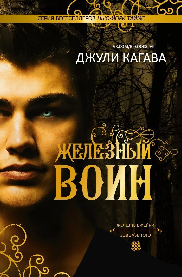 Обложка Железный воин
