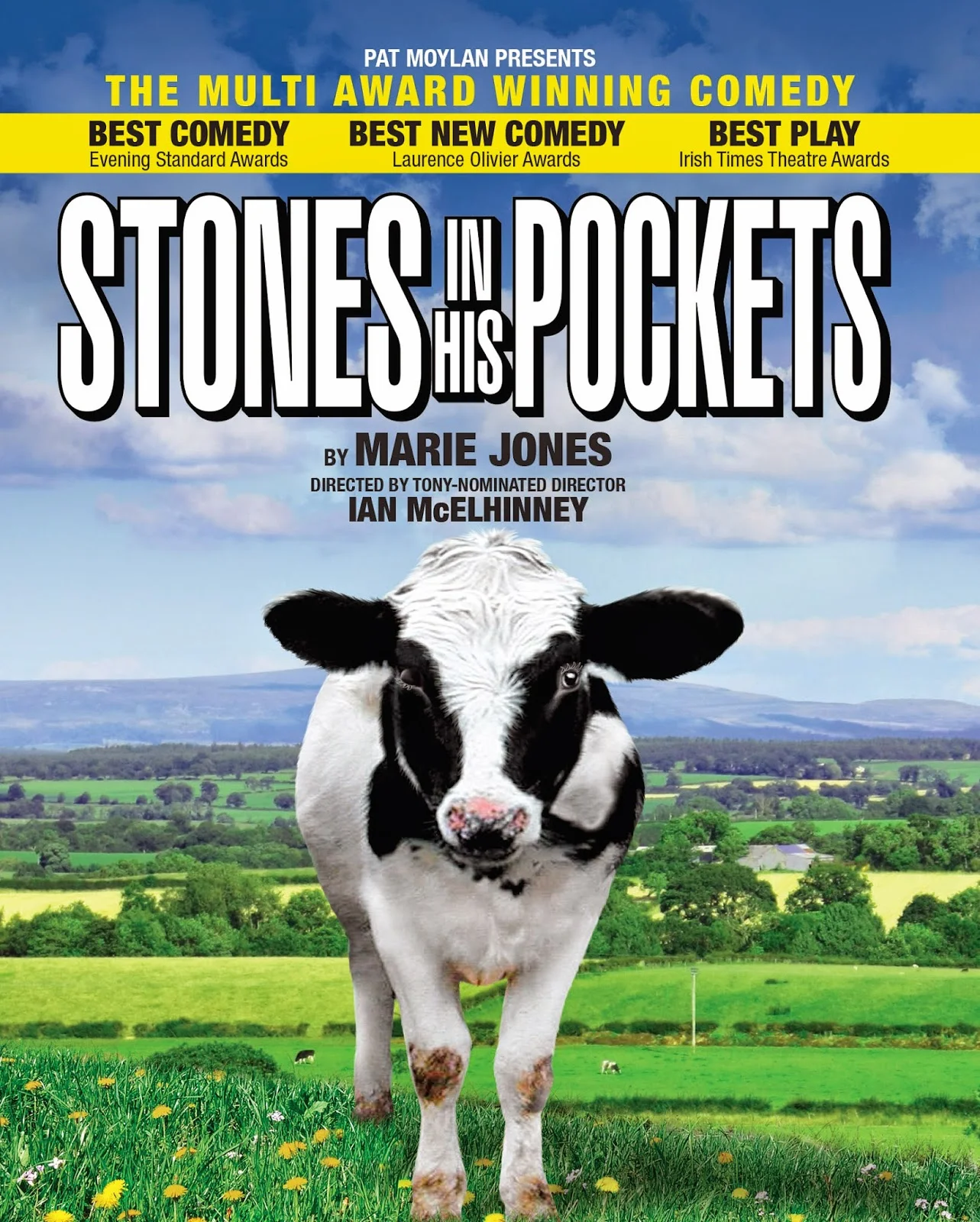 Обложка Камни в его карманах