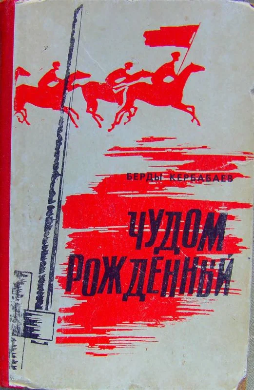 Обложка Чудом рождённый