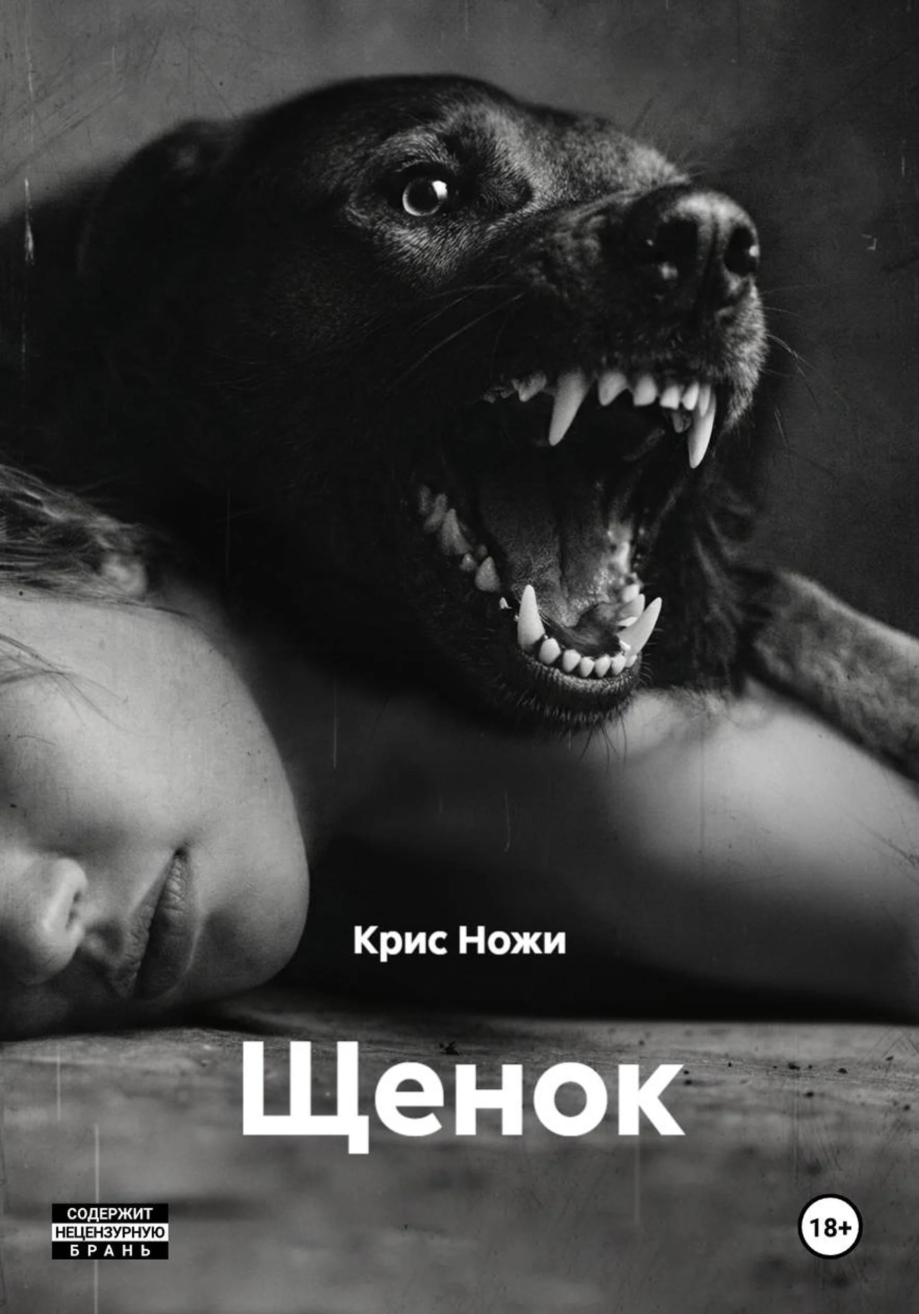 Обложка Щенок