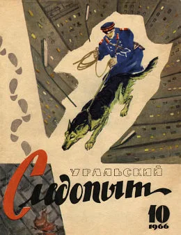 Обложка Затылок в зеркале