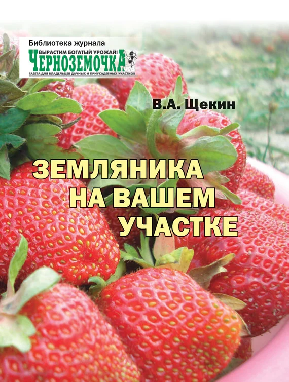 Обложка Земляника на вашем участке