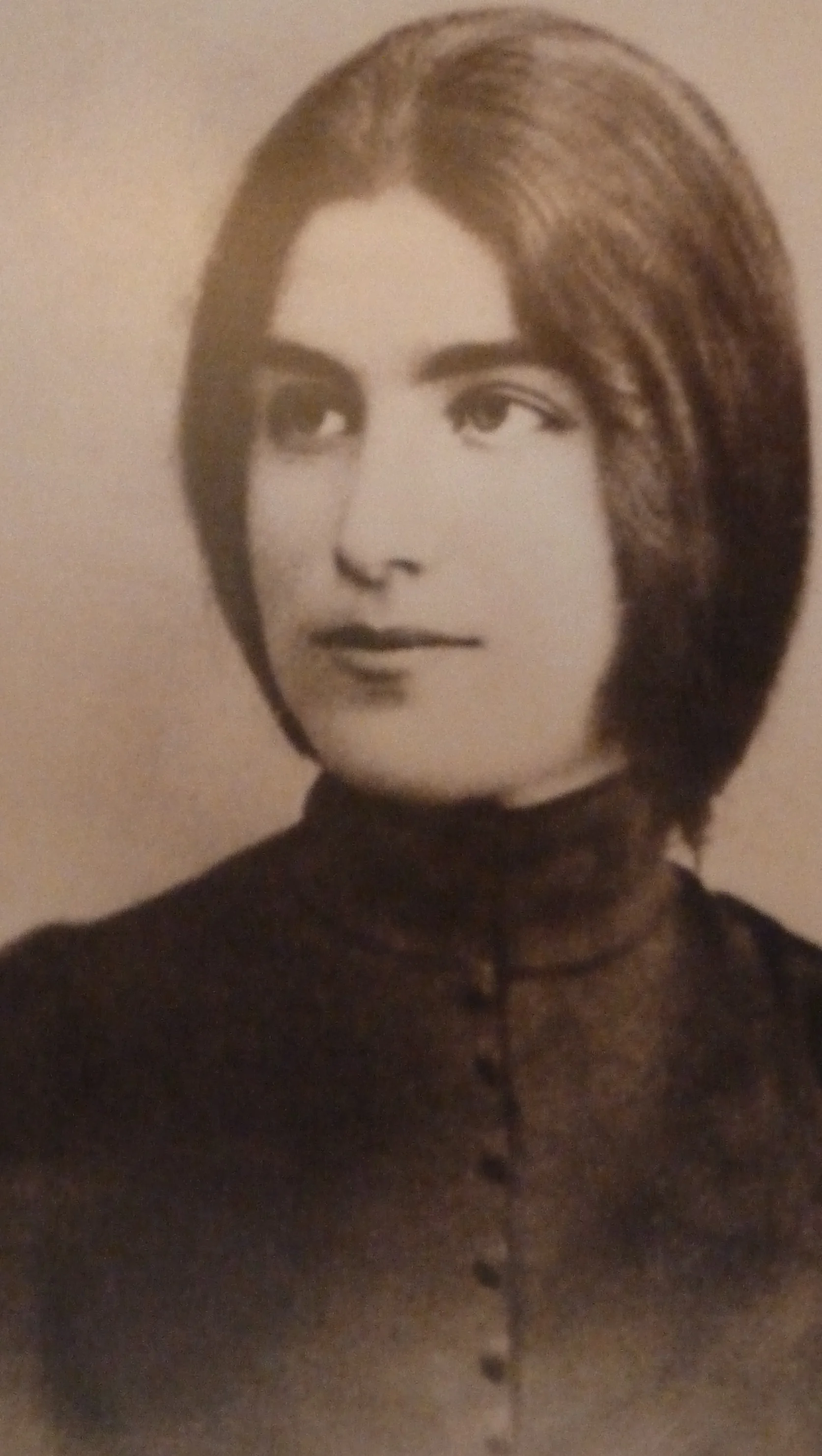 Обложка Еврейские скрижали и русские вериги (Русский голос в творчестве ивритской поэтессы Рахели)